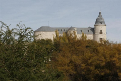 castillo5