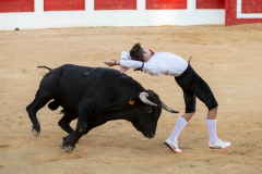 fiestas-virgen-del-arrabal-2022-1