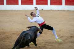 fiestas-virgen-del-arrabal-2022-10