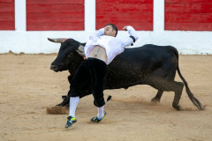 fiestas-virgen-del-arrabal-2022-11