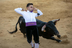 fiestas-virgen-del-arrabal-2022-12