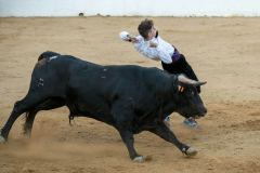 fiestas-virgen-del-arrabal-2022-14
