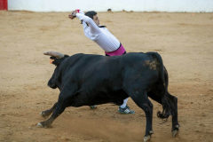 fiestas-virgen-del-arrabal-2022-15