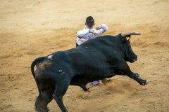 fiestas-virgen-del-arrabal-2022-20