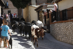 fiestas-virgen-del-arrabal-2022-22