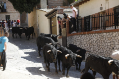 fiestas-virgen-del-arrabal-2022-23