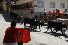 fiestas-virgen-del-arrabal-2022-24