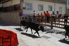 fiestas-virgen-del-arrabal-2022-25