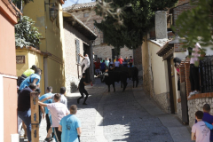 fiestas-virgen-del-arrabal-2022-26