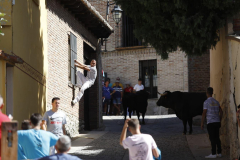 fiestas-virgen-del-arrabal-2022-28