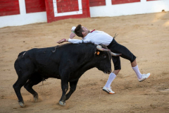 fiestas-virgen-del-arrabal-2022-5