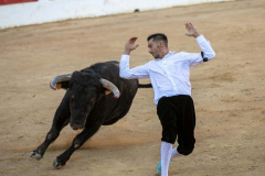 fiestas-virgen-del-arrabal-2022-6