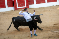 fiestas-virgen-del-arrabal-2022-7