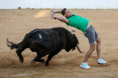 fiestas-virgen-del-arrabal-2022-8