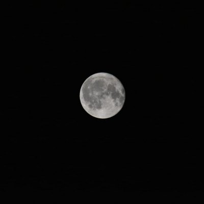 IMG-20240624-WA0199