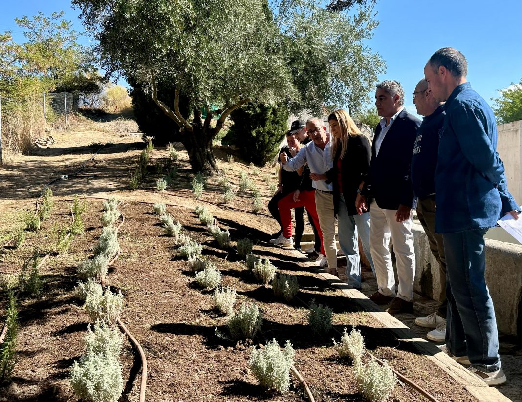 Visita a una zona ajardinada mejorada en la edición anterior del Programa Mixto de Formación en Simancas, con plantación y riego por goteo.